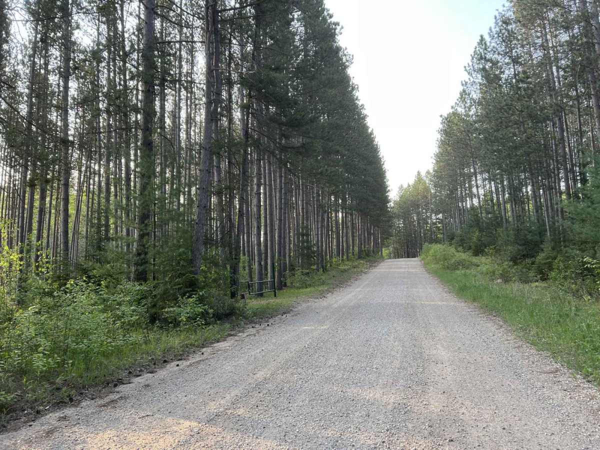 Browns Lake Road trail photo