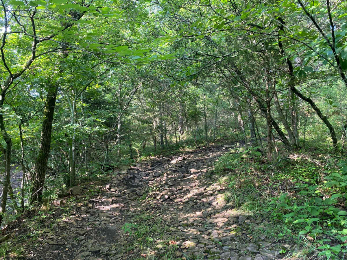 S Loop photo 3