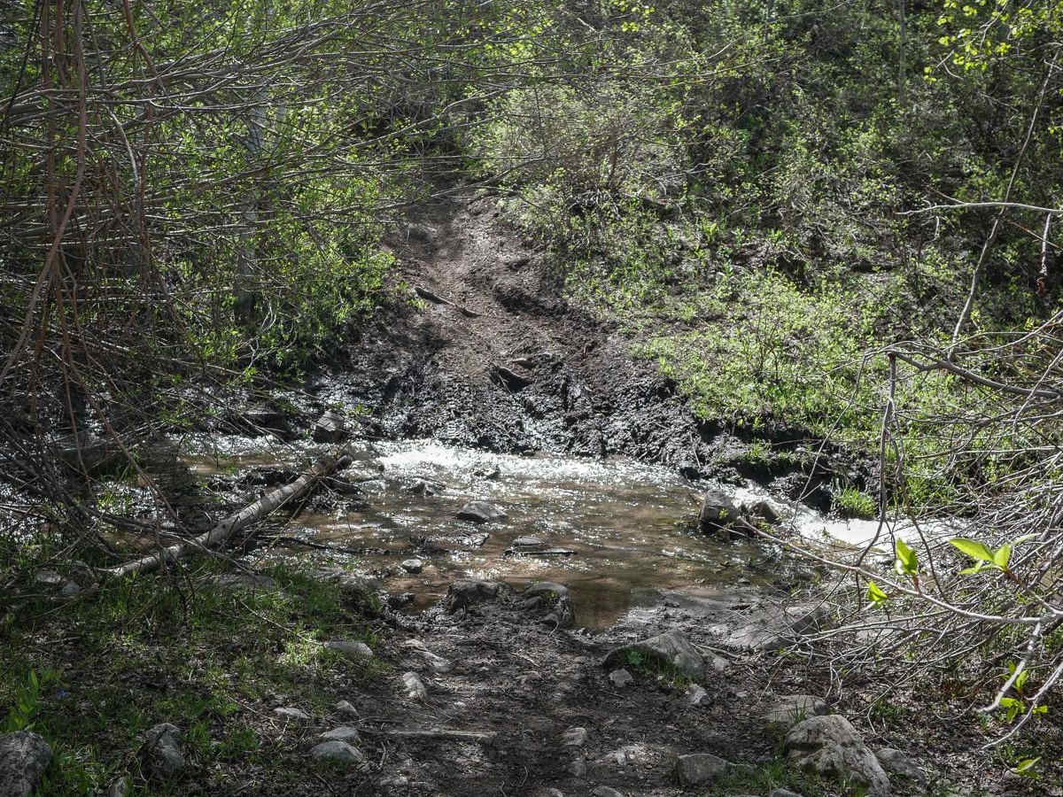 Cottonwood Second Water #018 photo 4