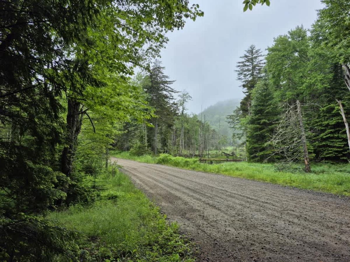 Powley Road photo 4