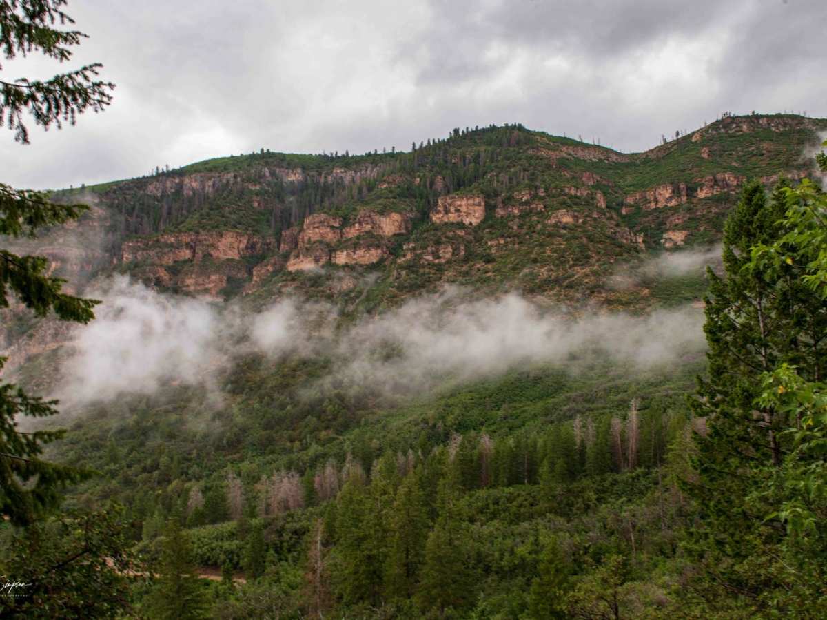 Main Elk Creek photo 5