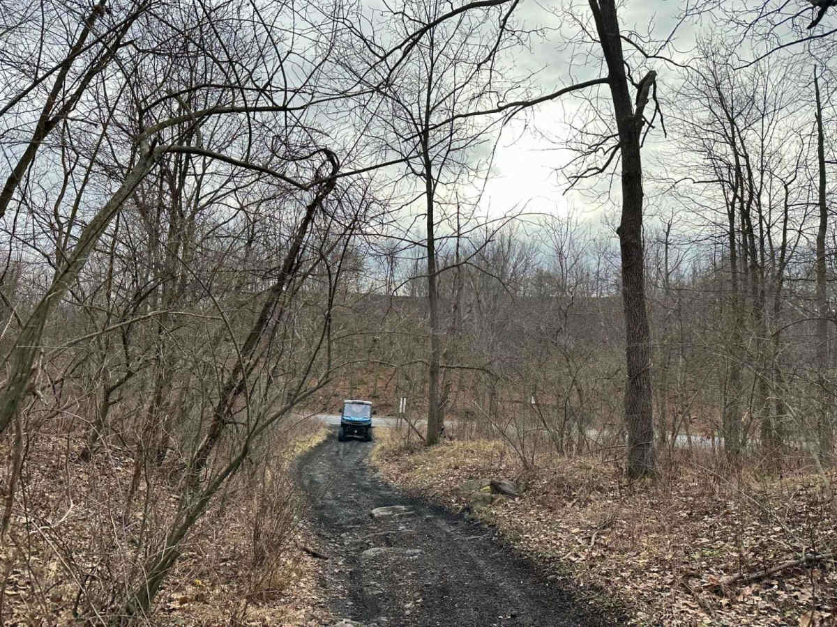 Locust Gap 9 photo 4