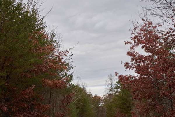 Lake Tugaloo