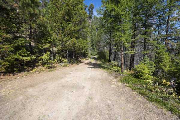Small Creek FS 4292