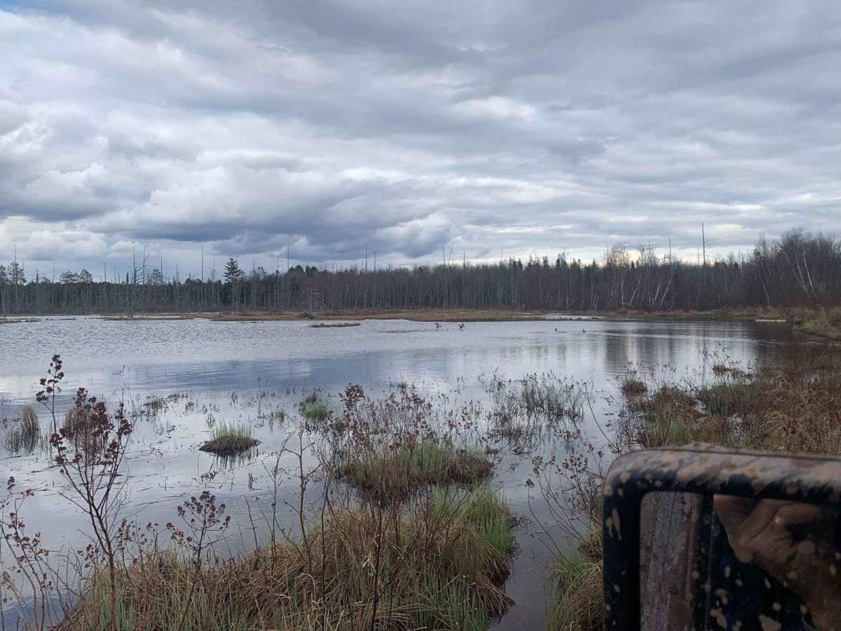 Rankine Road Pond Run photo 3