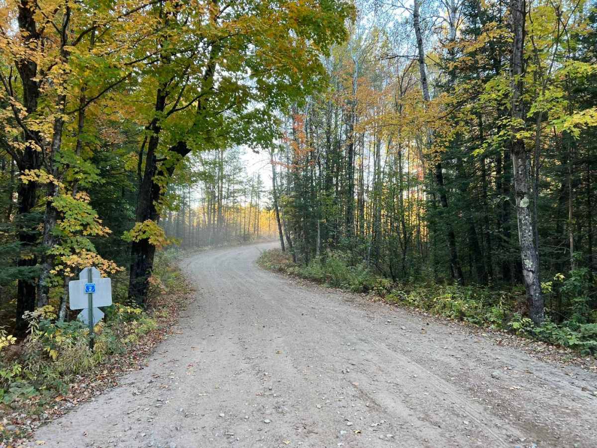 National Forest Road 1510 photo 3