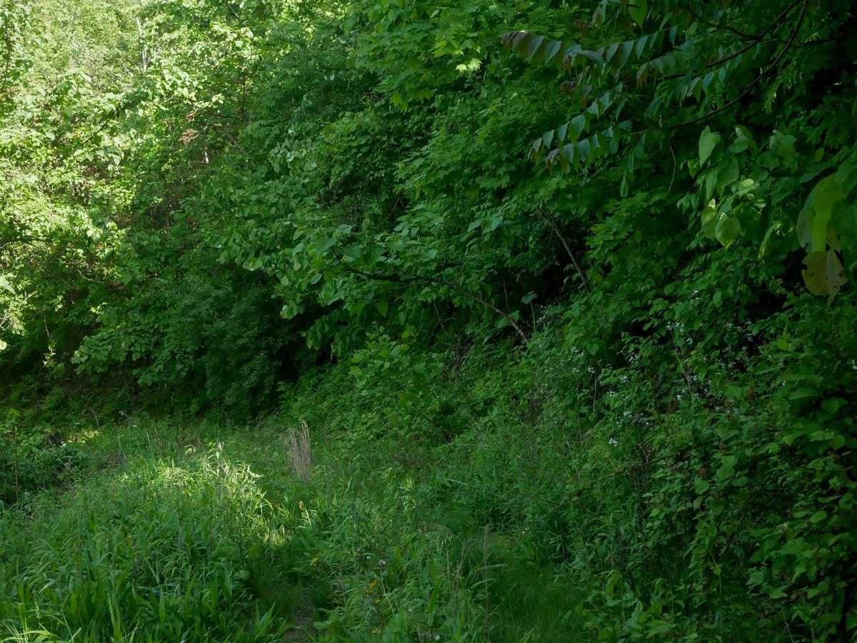 RV22 photo 2