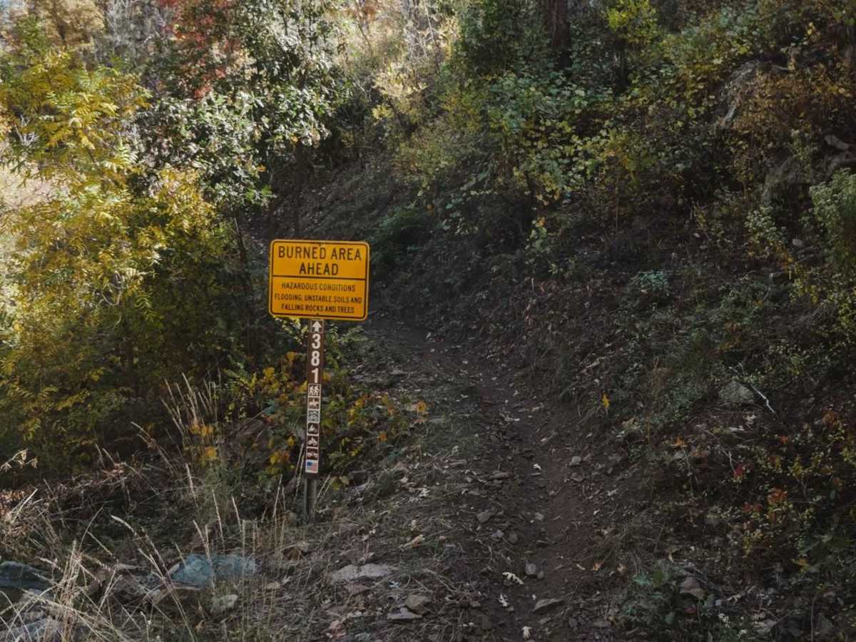 Venezia trail photo