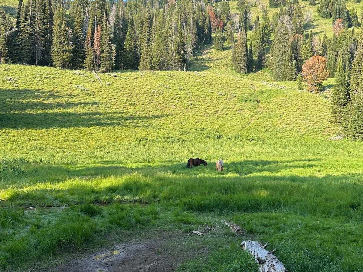 Dry Creek photo 4