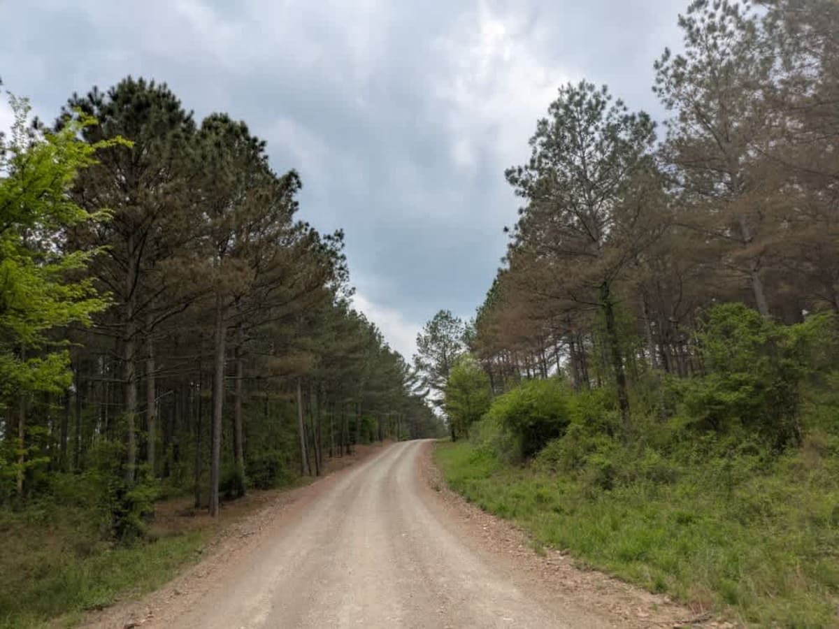 Gillham Lake Road photo 4