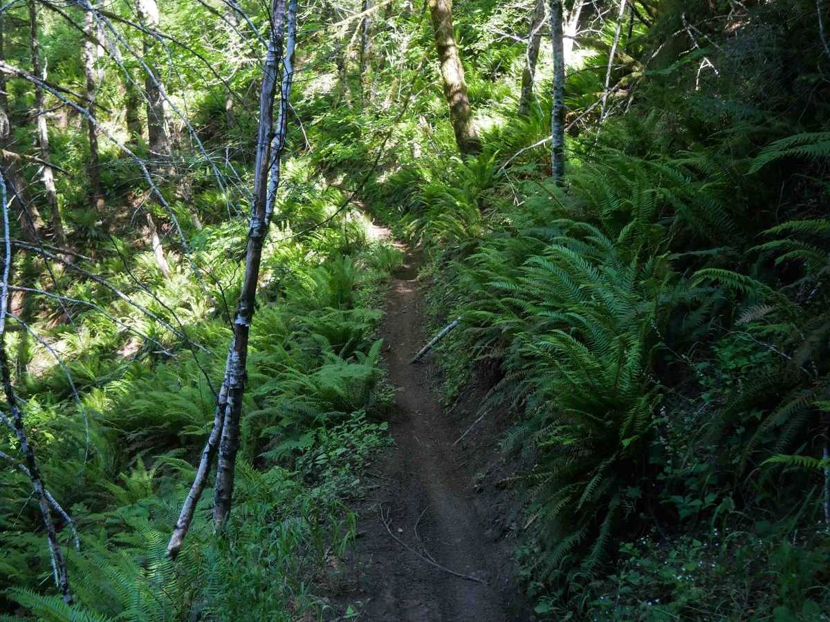 Odin's Ridge #72 photo 3