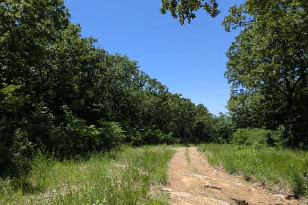 Persimmon Ridge