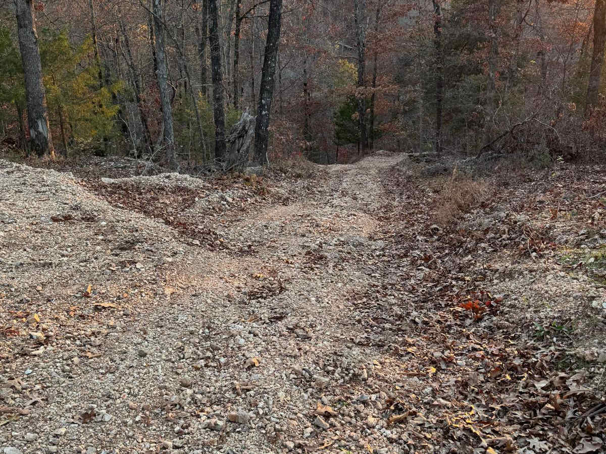 Green 183 trail photo