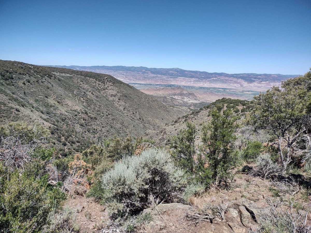 Davis Hollow Overlook - FS 42115 trail photo