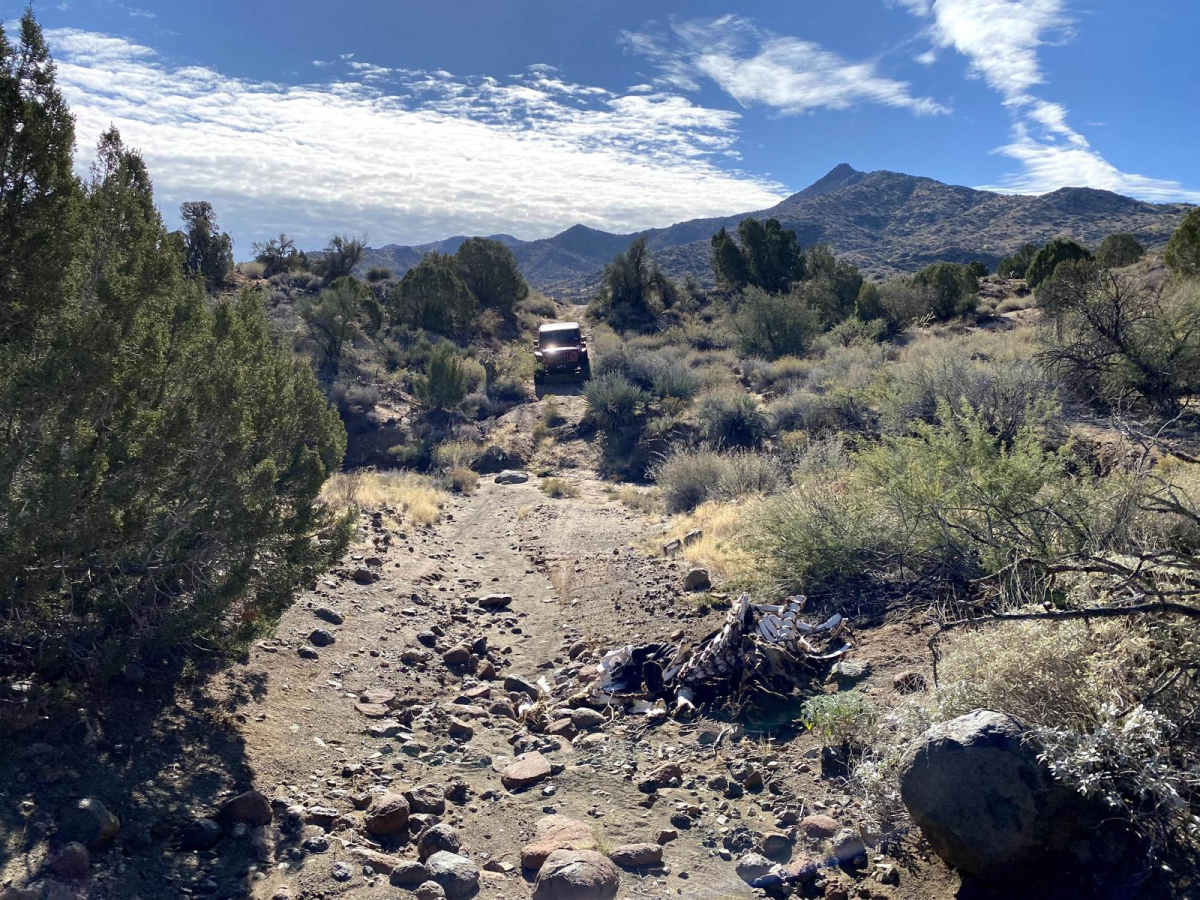 Shannon Basin Trail photo 6