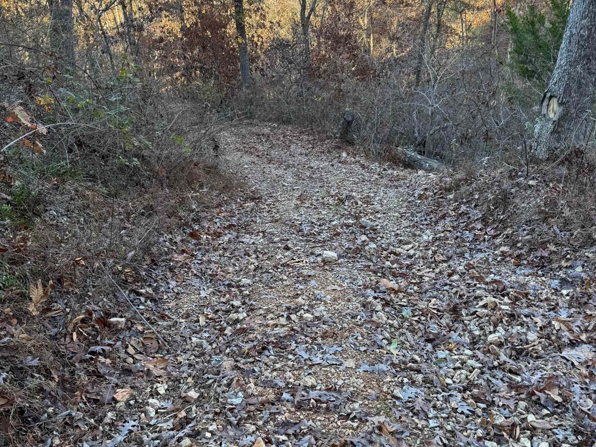 Yellow 146 trail photo