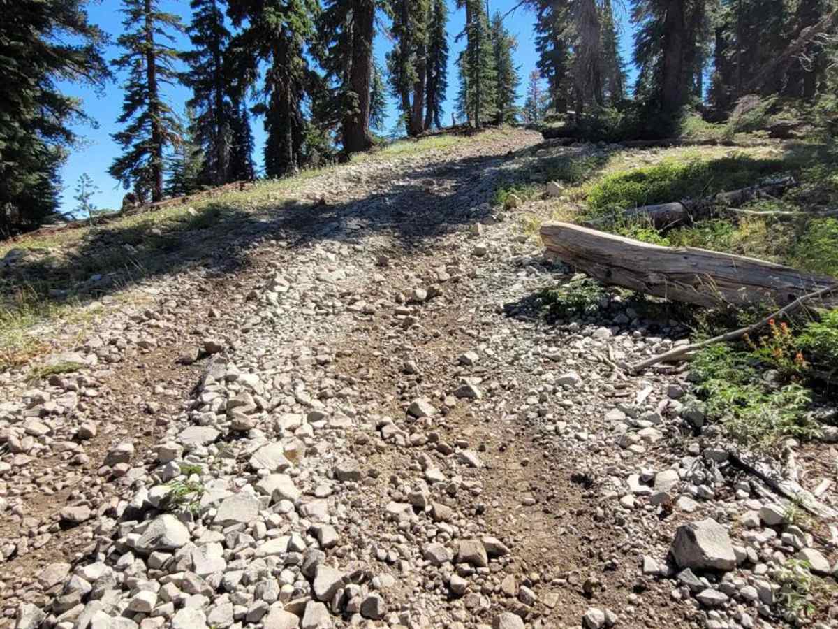 Round Mountain 4X4 - FS 7N93 photo 5