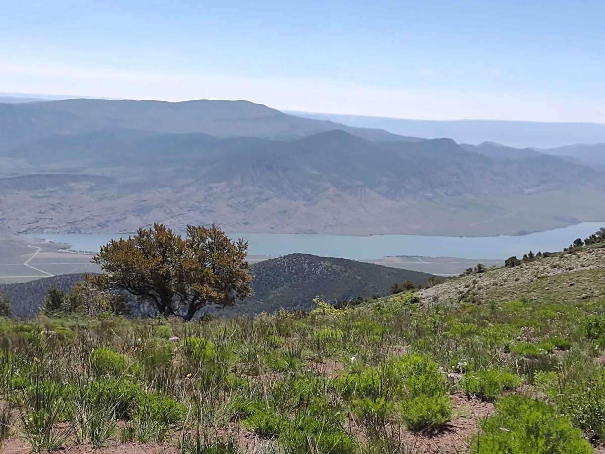 Piute Reservoir Overlook (FS# 41081) trail photo