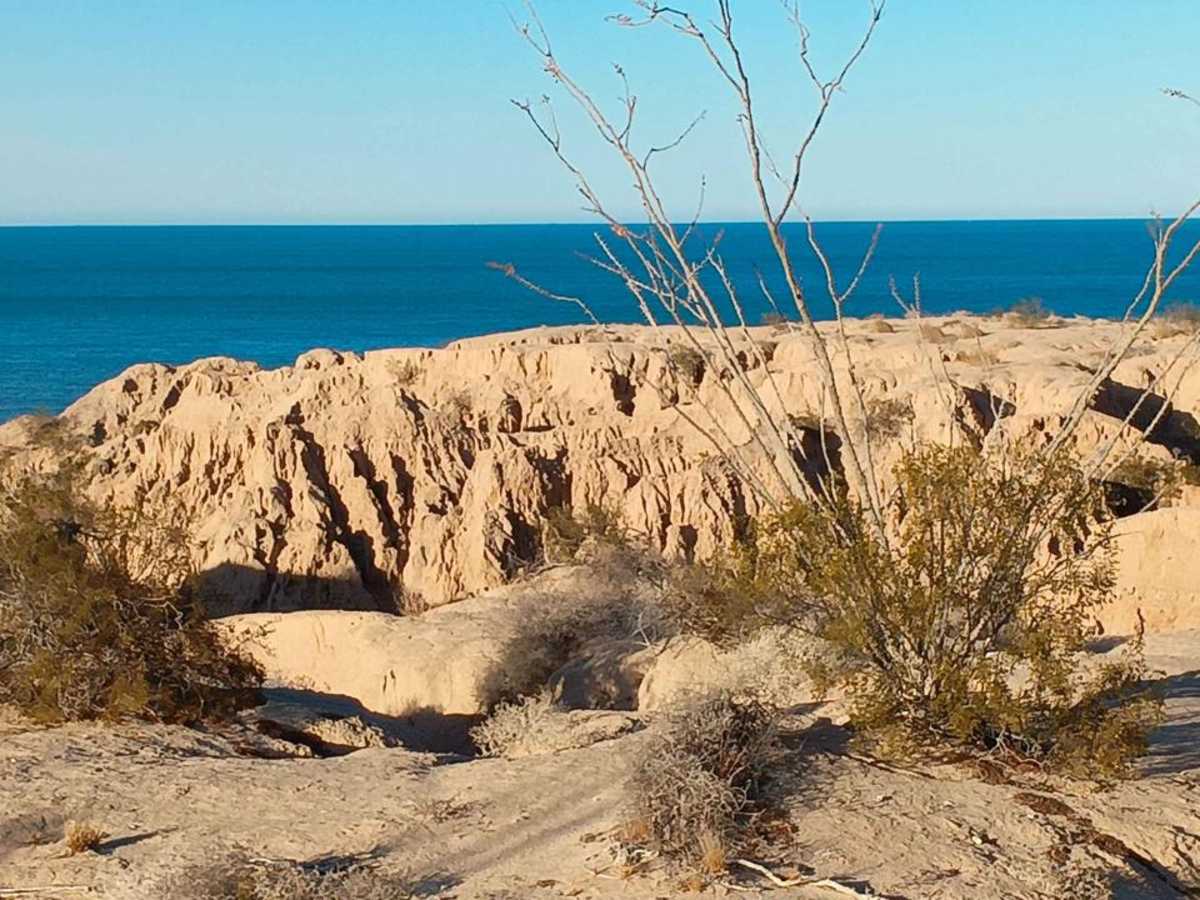 Sea of Cortez Overlook trail photo