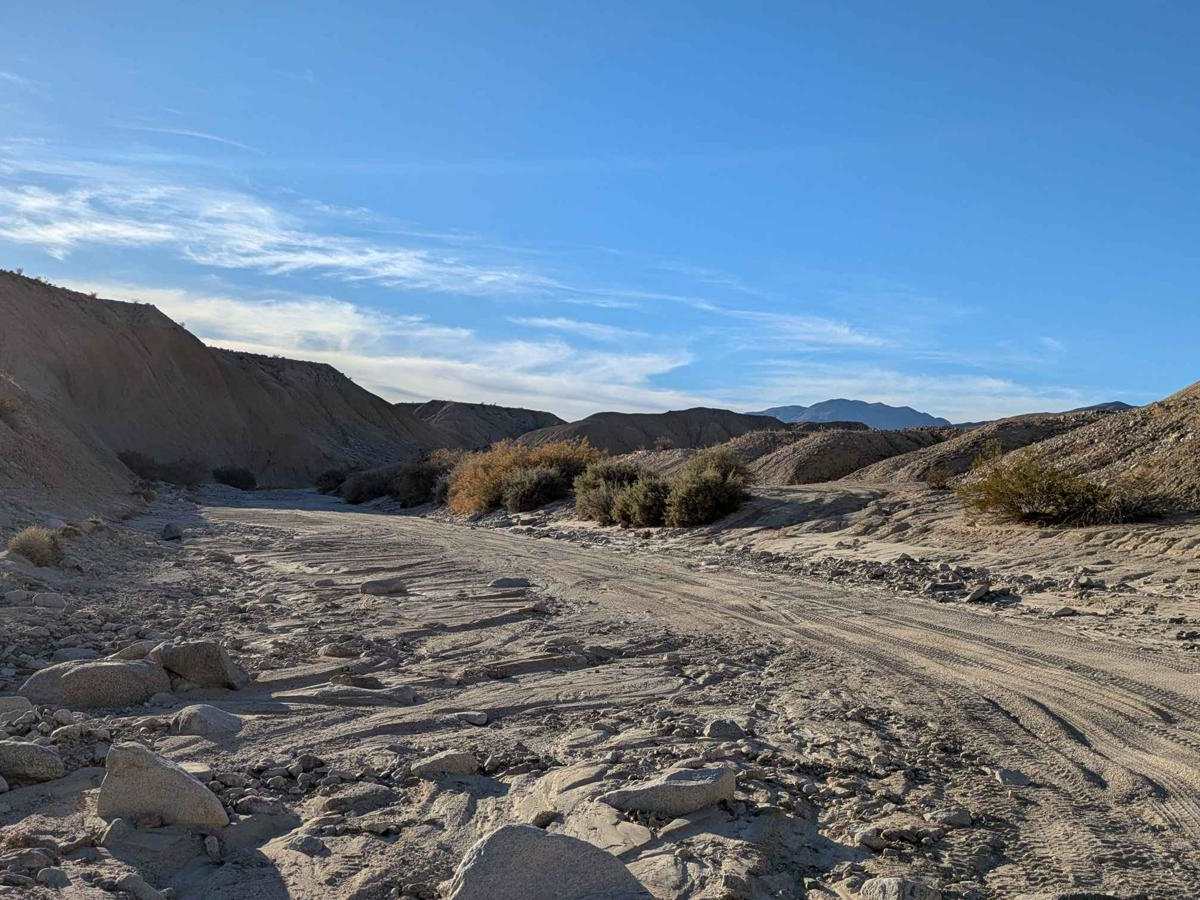 Lycium Wash photo 3