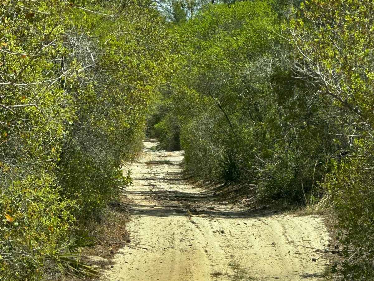 ONF Trail 5-9.0 photo 5