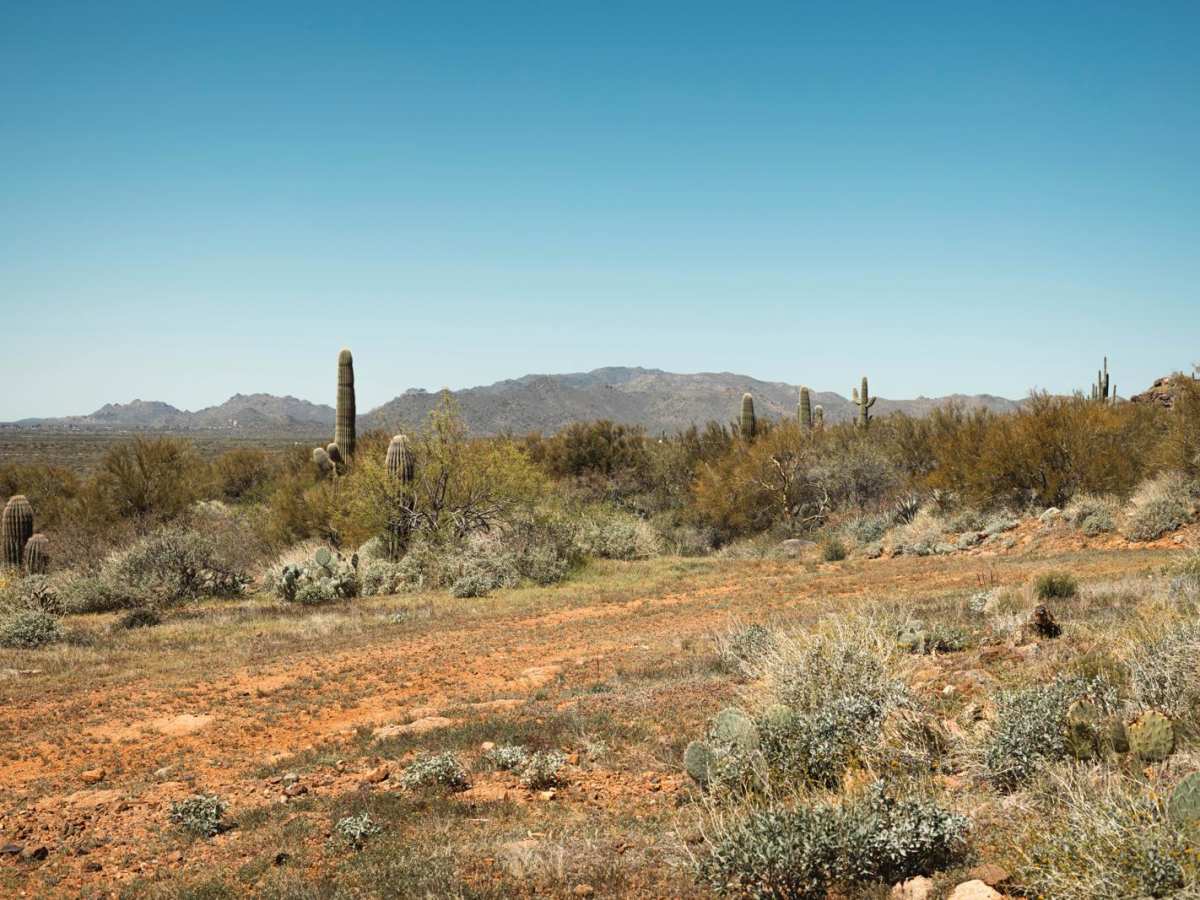 Multi-Mine Road trail photo