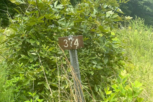 FS - 374