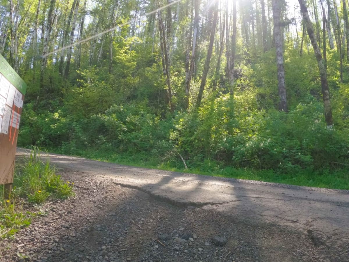 Jordan Creek Road photo 3