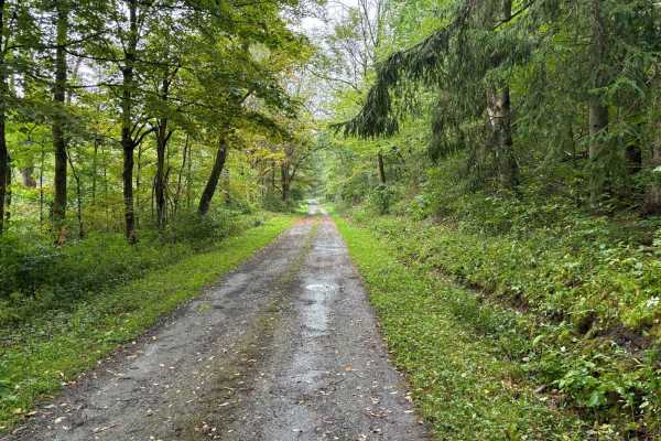 Tioughnioga Wildlife Management Area