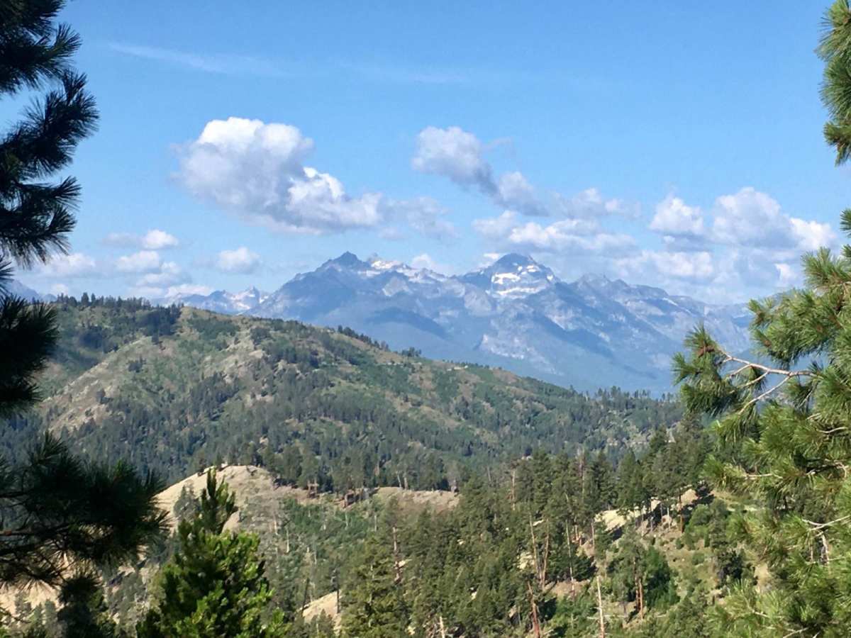 Blacktail Point Road photo 3