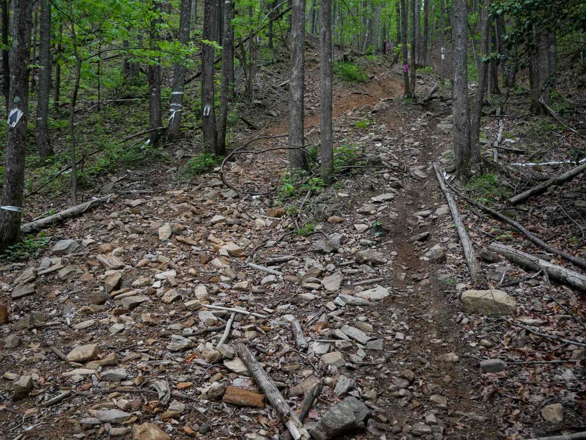 9C EXT trail photo