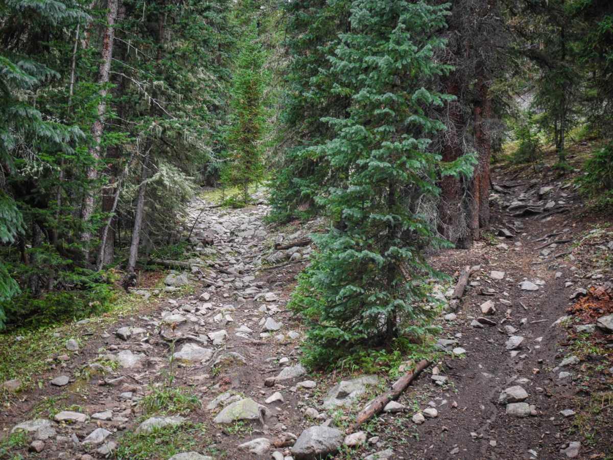 Gold Creek (North) photo 5