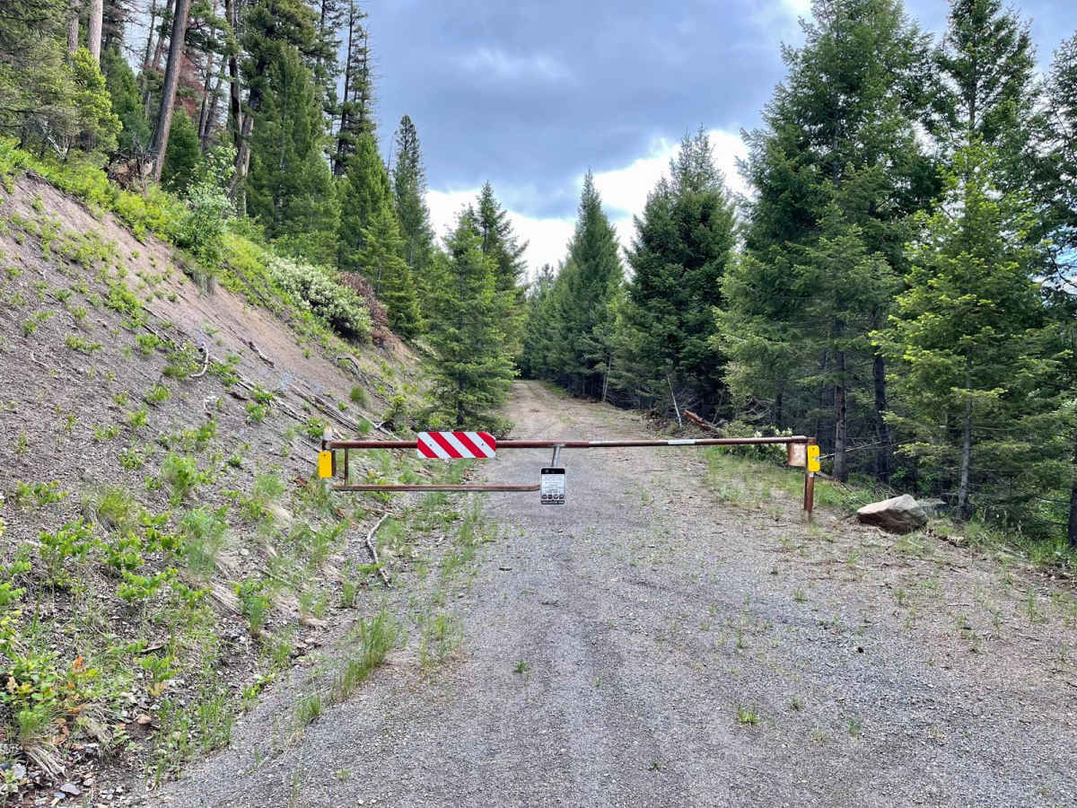 McCabe Creek photo 4