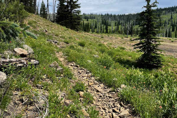 Clayburn Creek West