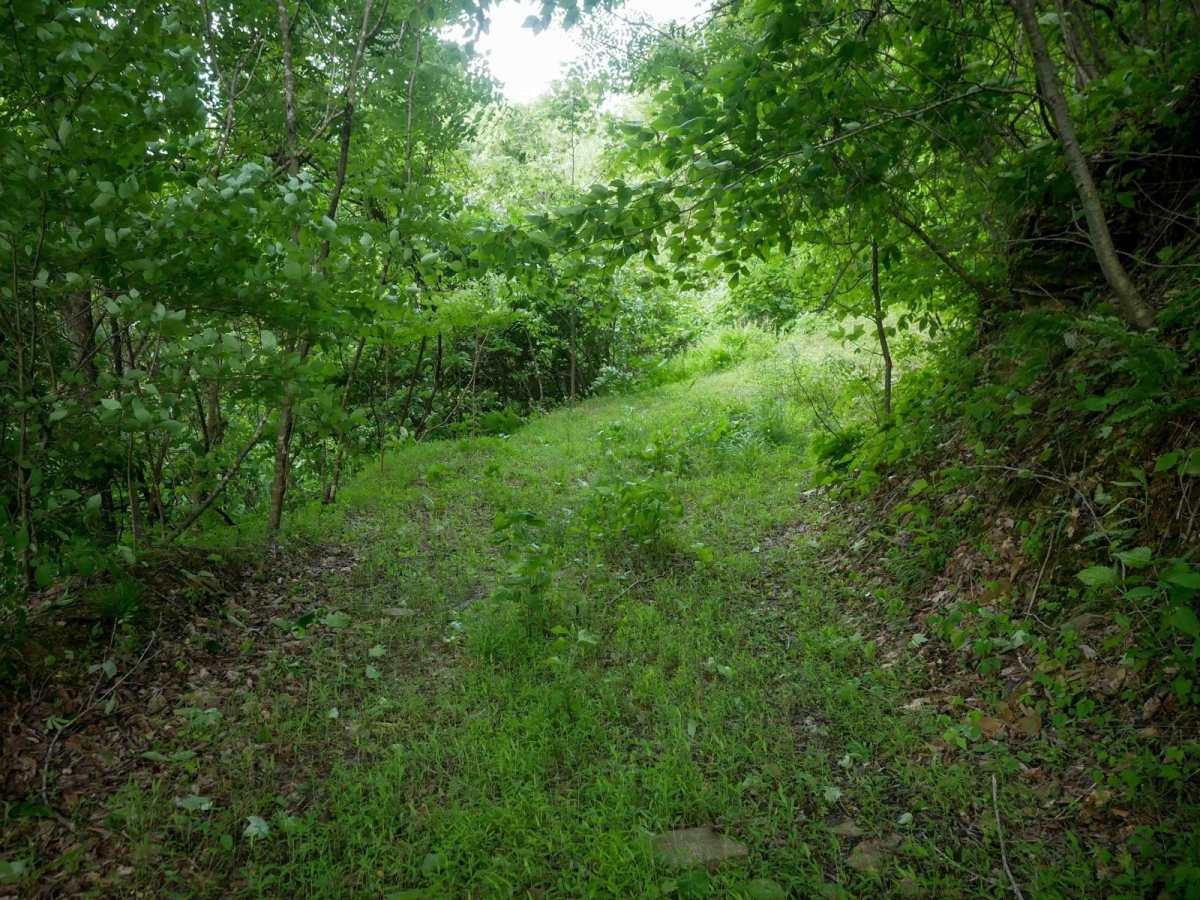 RV51 photo 2