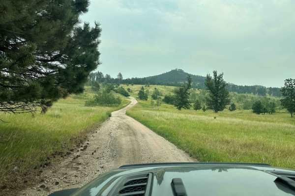 Long Run - 641