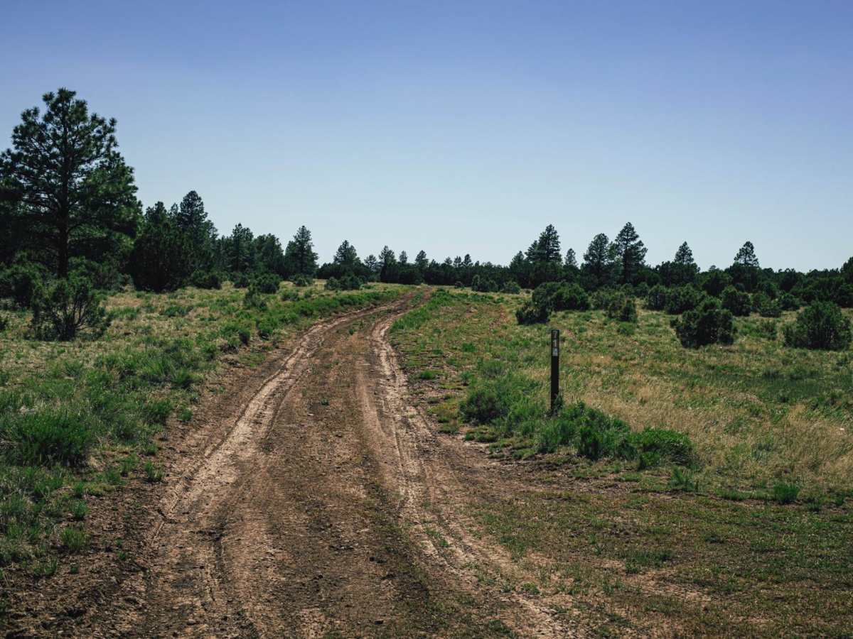 Old 714 Road trail photo