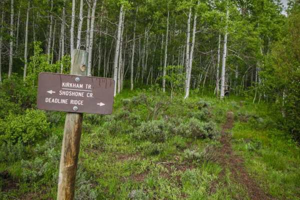 Middle Fork Shoshone Creek Spur