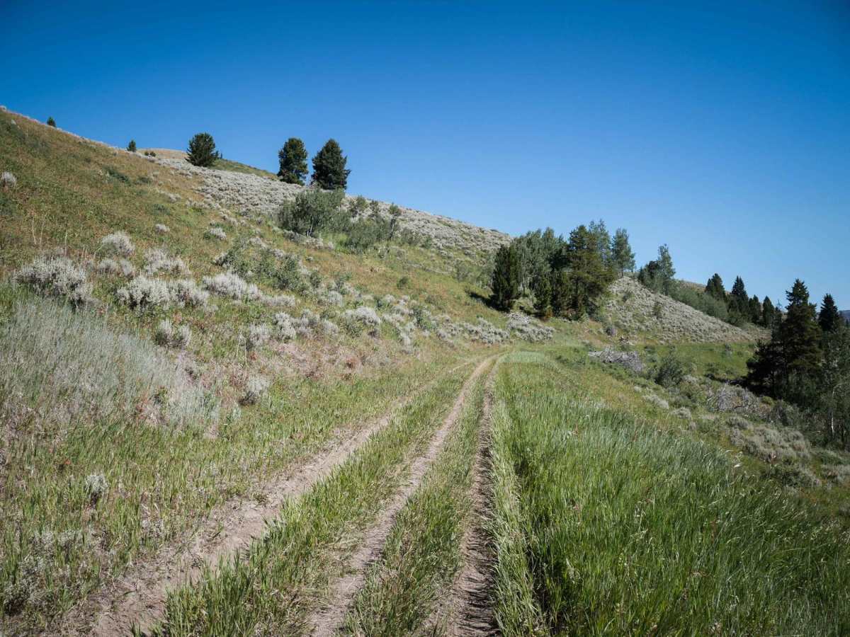 Dead Horse Creek photo 3