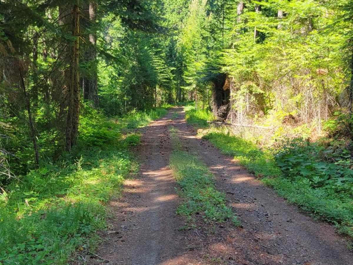 FR 1840 - N Holmes Creek photo 6