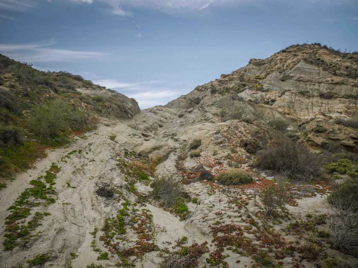 El Rosario Badlands photo 4
