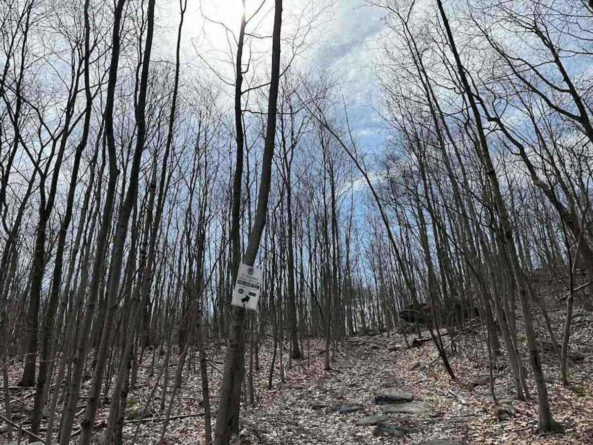St. Keirns 82 trail photo