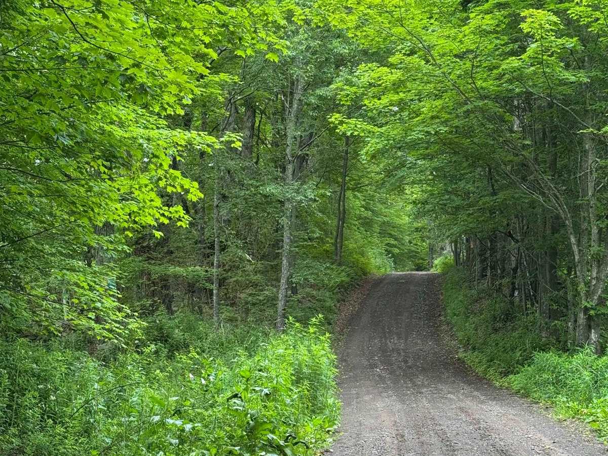 Skunk Hollow Road photo 3