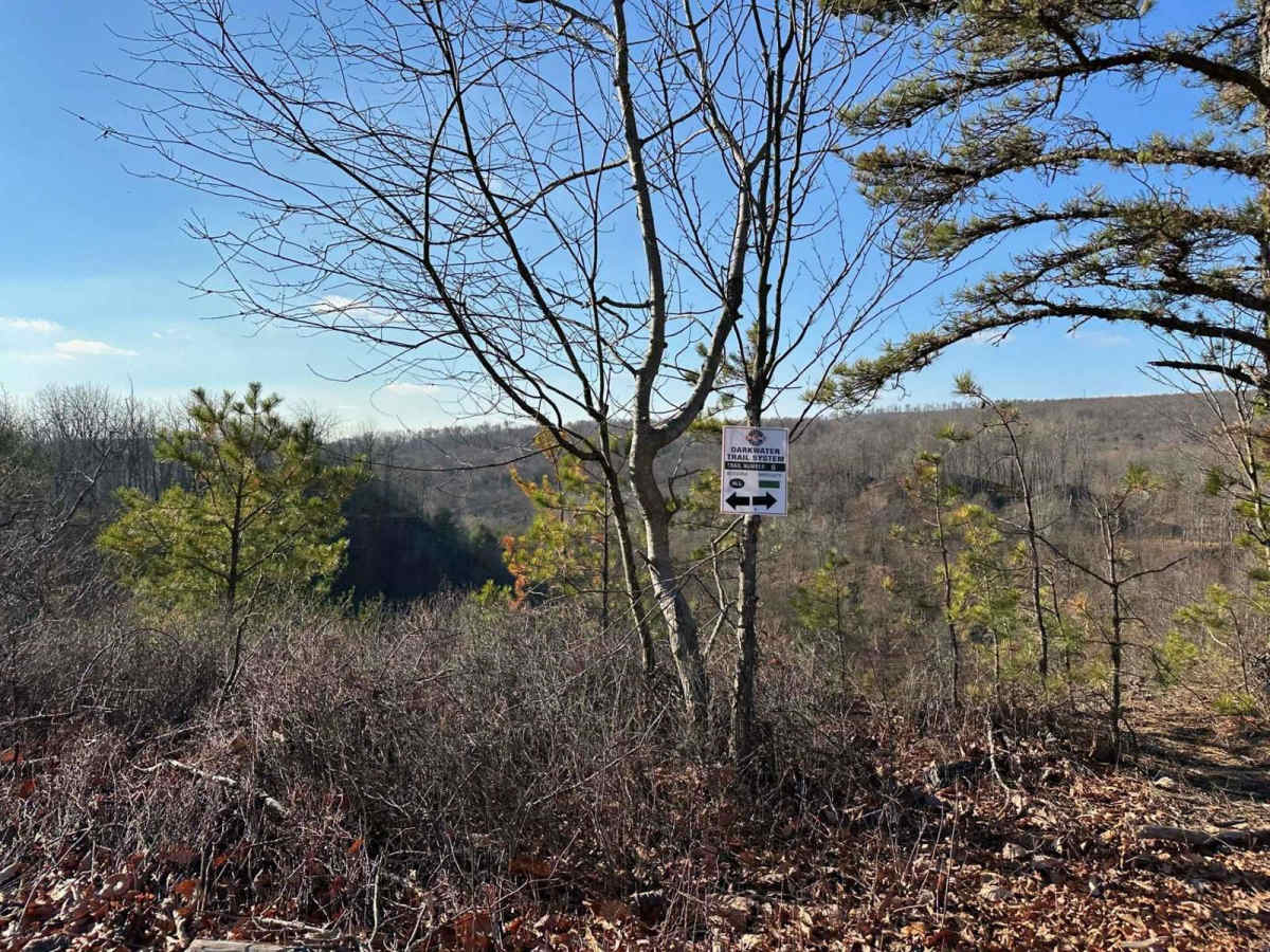 Darkwater 6 trail photo