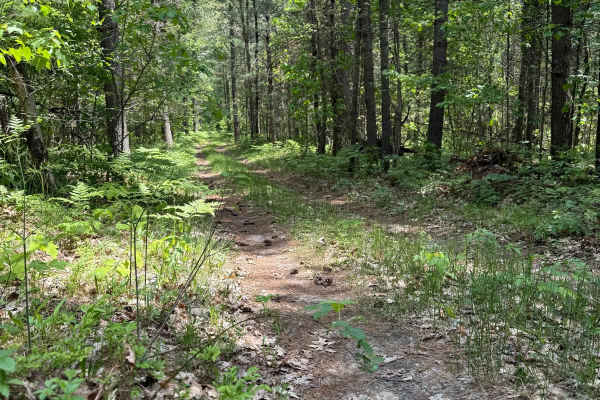 Camp Trail