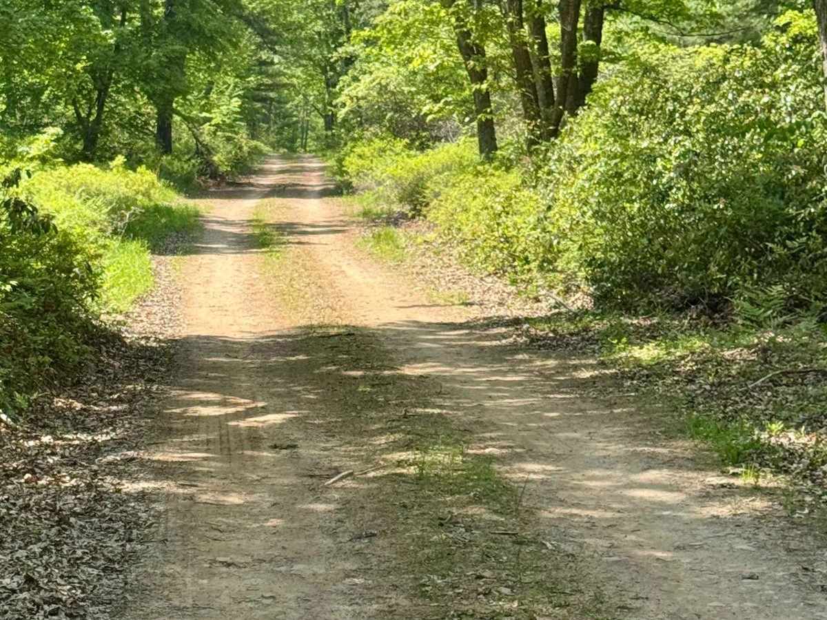 Six Mile Road photo 3