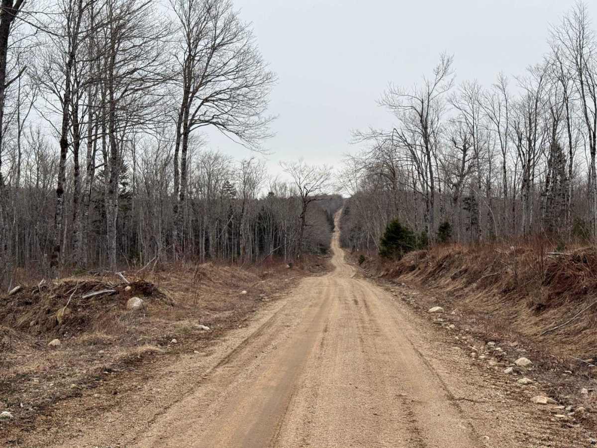 Thorne Road Trail photo 6