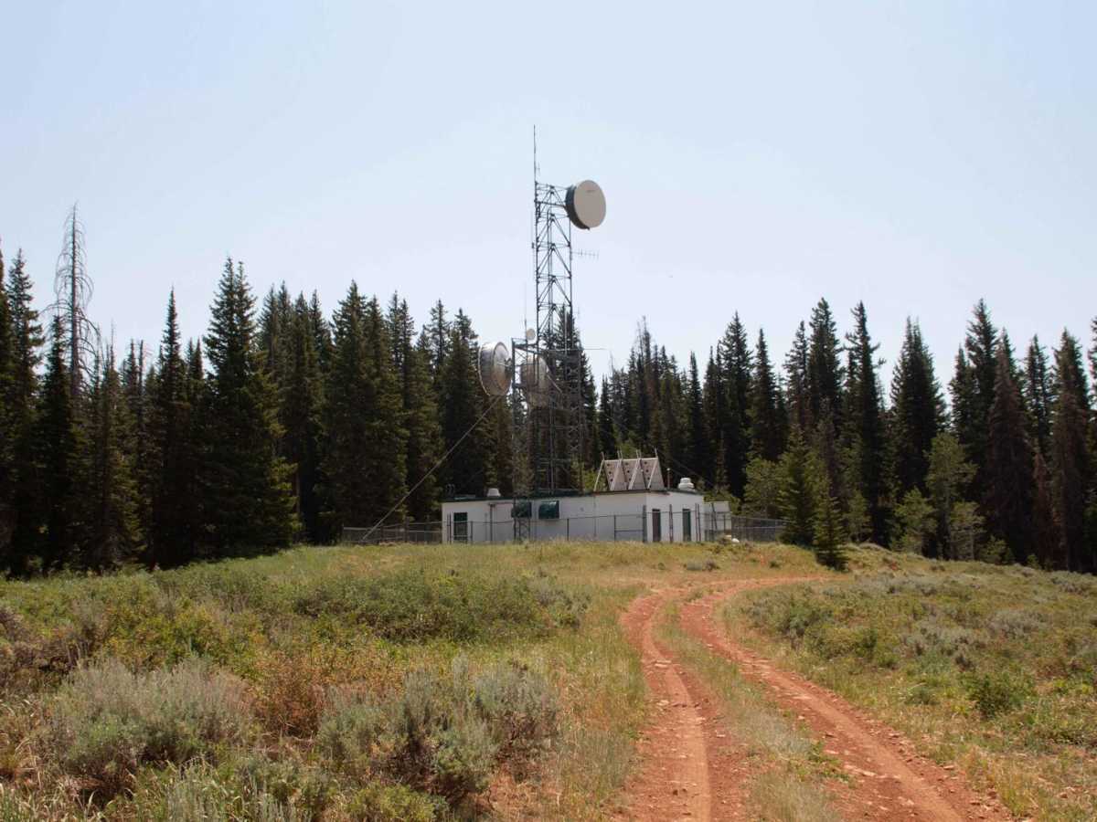 Red Spur photo 6