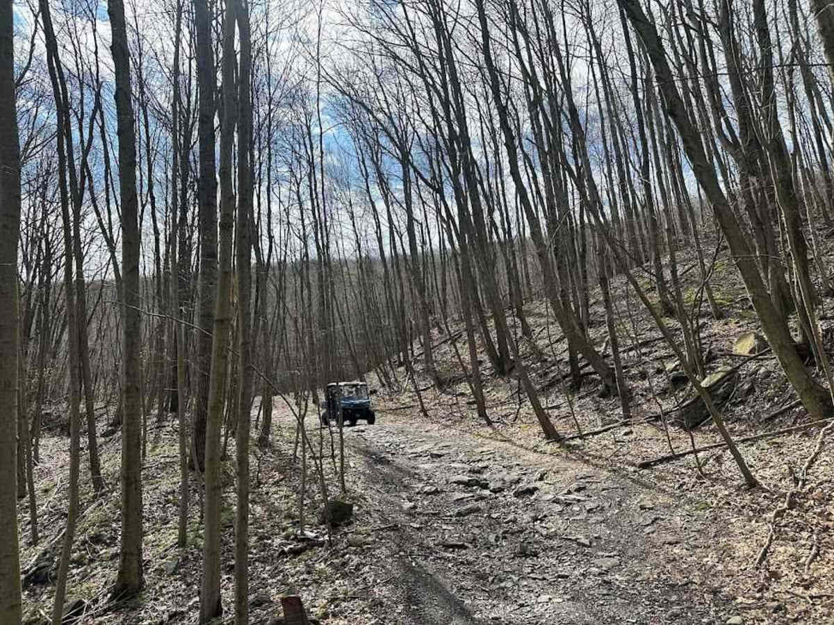 Ashland 122 photo 6