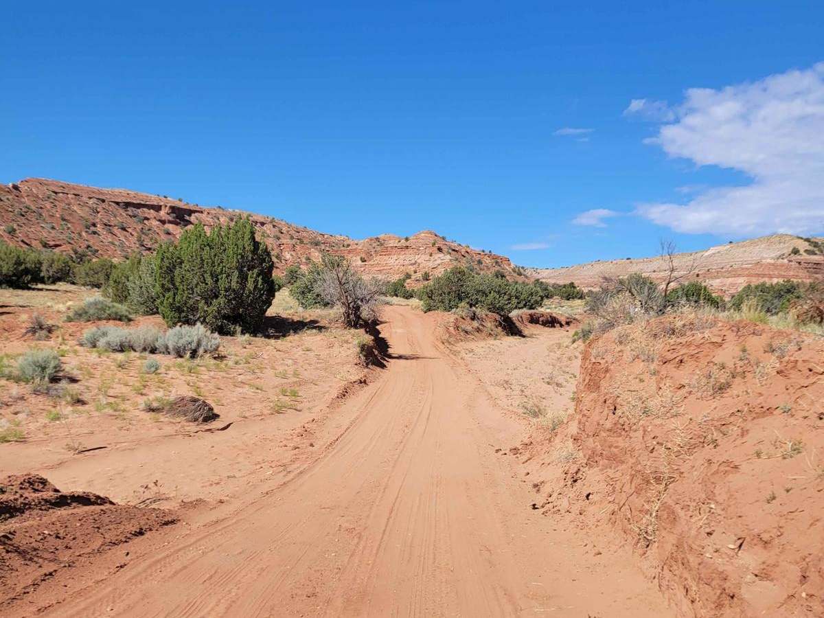 Cobra Arch and Middle Route to Buckskin Gulch photo 6